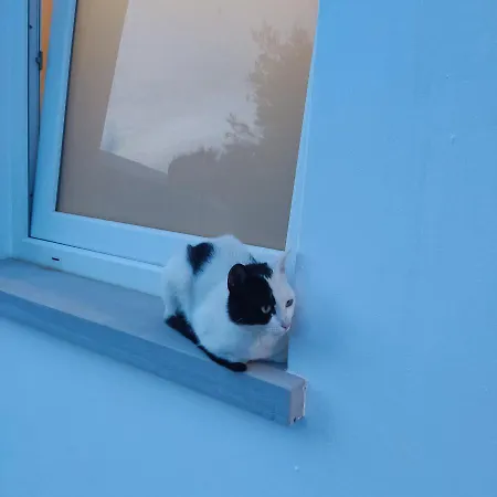 Fata Affittacamere 4*